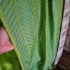 Handwoven Benarasi Silk cotton suit - Image 2